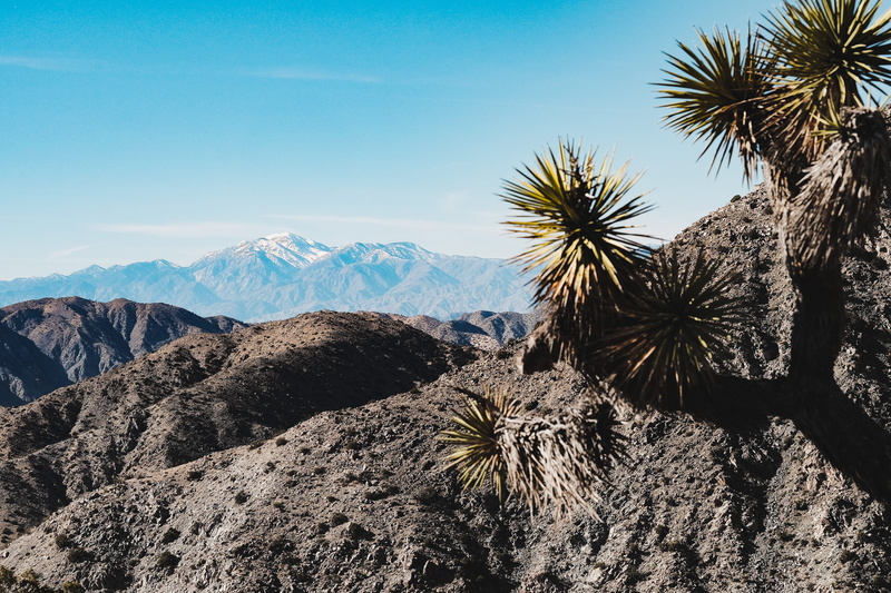 tranquil scene, tropical climate, mountain, environment, day, sky, climate, leaf, non-urban scene, aloe, arid climate, scenery, no people, promontory, sunlight