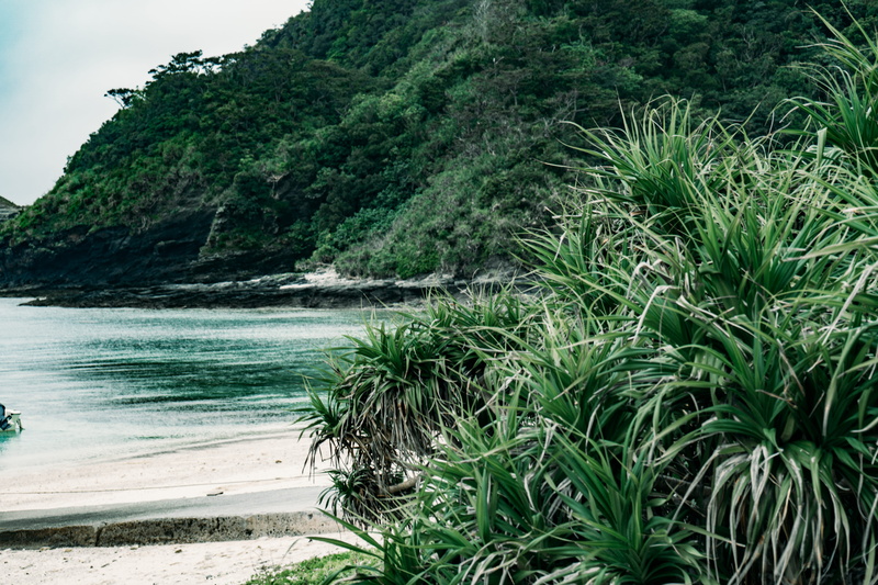 outdoors, building, paradise, lake, sea, wilderness, non-urban scene, no people, day, growth, promontory, flower, blossom, plant, rainforest, vegetation