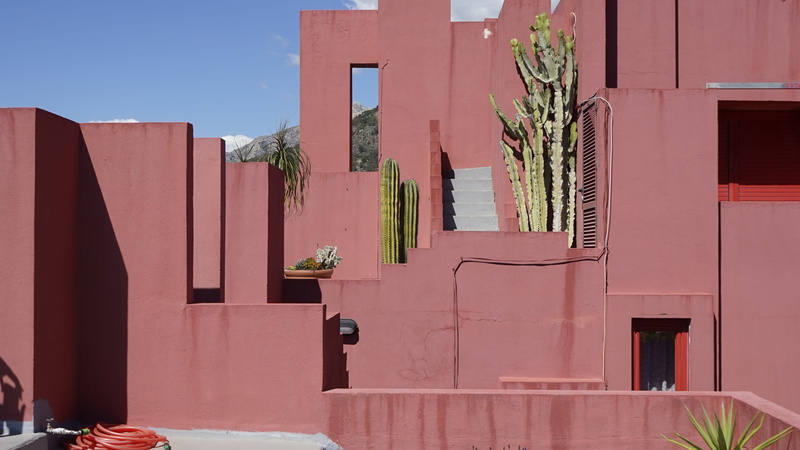 4K, concrete, entrance, handrail, nature, agavaceae, window, door, no people, aloe, bush, day, sunlight, housing, home decor, residential district, wall