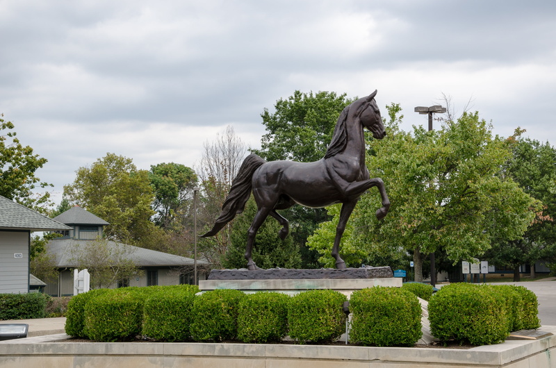 cloud - sky, creativity, brown, day, sculpture, kentucky horse park, art and craft, outdoors, horse, representation, built structure, nature, america, 4K