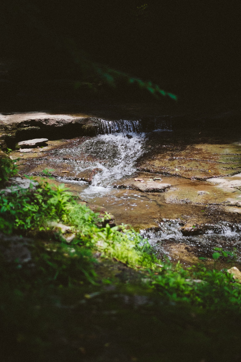 scenics - nature, flowing, raven run nature sanctuary, power in nature, motion, green, water, day, green color, lexington, land, united states, river, forest