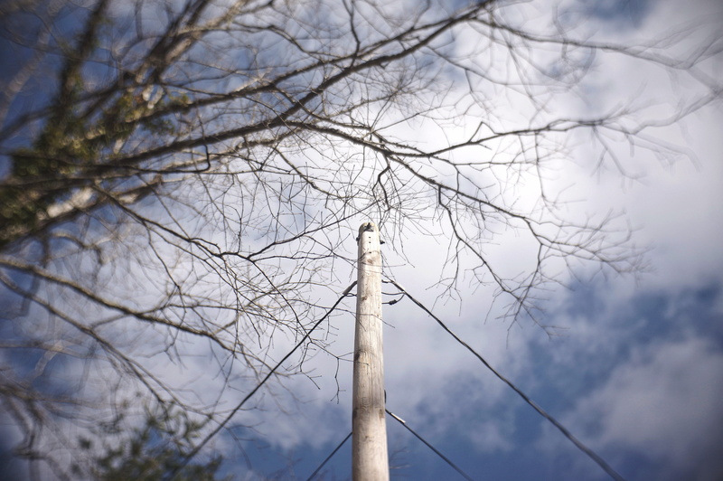 tall - high, pole, telephone pole, sky, low angle view, global communications, built structure, plant, focus on foreground, tree trunk, lexington, trees