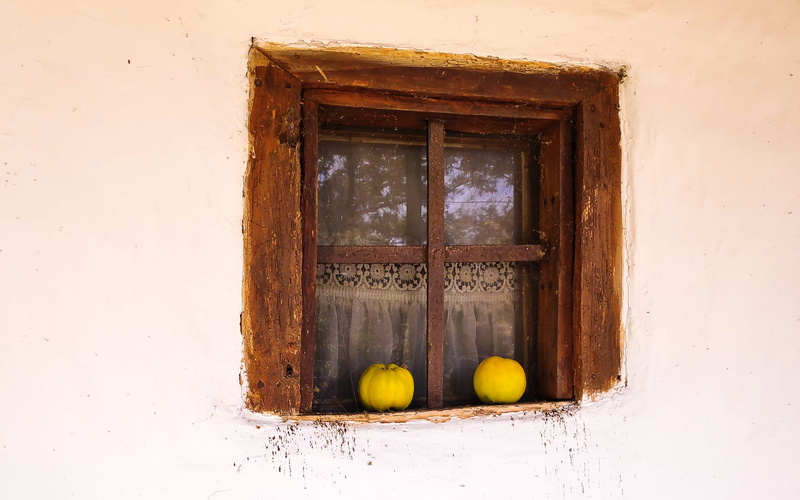доњи милановац, vintage, food and drink, door, glass, built structure, architecture, plant, squashes, entrance, outdoors, food, lepenski vir, building exterior