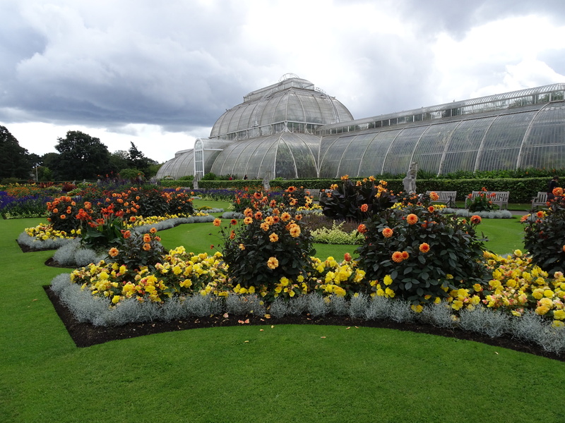 outdoors, flower, plant, flower head, grass, 4K, built structure, flowerbed, cloud - sky, day, flowering plant, sky, nature, freshness, london, kew gardens