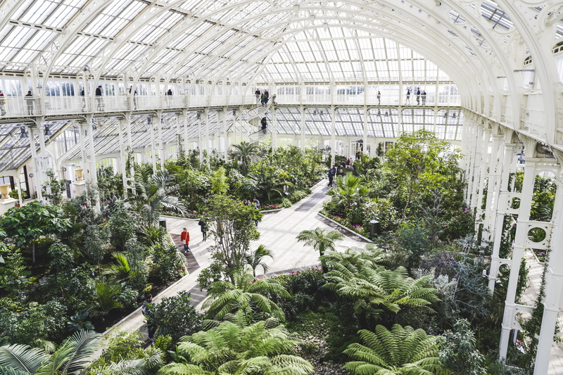 jungle, natural, trees, transportation, high angle view, incidental people, sunlight, london, group of people, park, water, greenhouse, spring, built structure