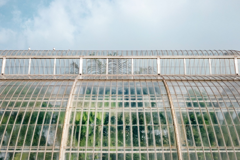 barrier, greenhouse, sky, city, trees, day, botanical garden, kew garden, building, reflection, nature, clear, photography, railing, architectural, no people