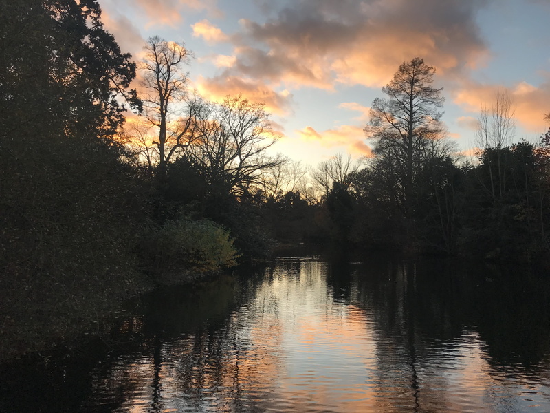 idyllic, waterfront, lake, water, no people, non-urban scene, trees, kew gardens, plant, richmond, scenics - nature, beauty in nature, sunset, reflection
