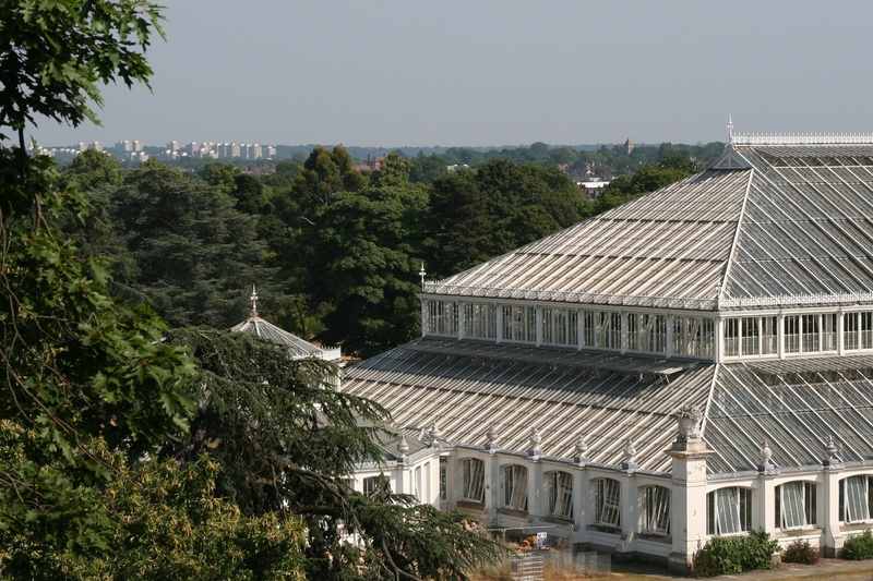 growth, kew garden, travel destinations, famous, 1080P, architecture, nature, built structure, garden, united kingdom, the past, building exterior, no people