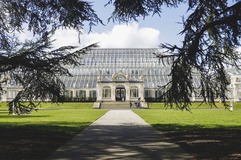 outdoor, blossom, london, flora, the way forward, sunlight, park, 5K, day, rose, building exterior, romantic, petal, kew garden, spring, architecture