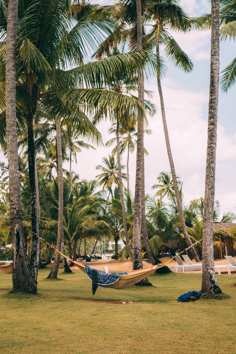 palm, scenic, palms, no people, beach, beauty in nature, travel, coconut, landscape, sky, green color, scenics - nature, outdoors, nature, 5K, green, daylight