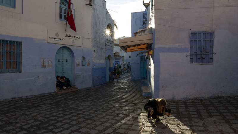 mammal, animal, light, domestic, sunshine, vertebrate, shadows, real people, friends, footpath, day, girl, city, domestic animals, cobblestone, chefchaouen