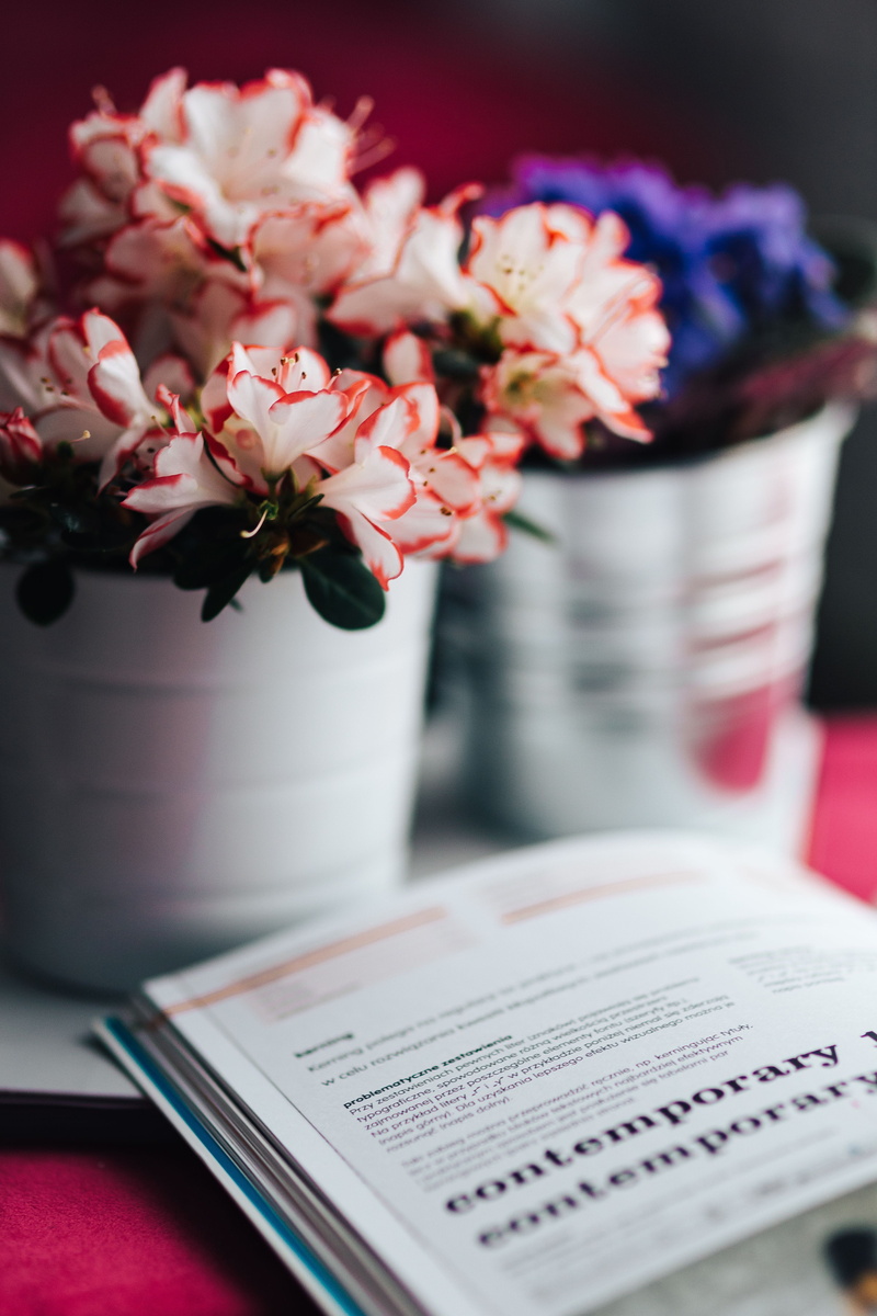 freshness, red, Flowers, plant, publication, pink, flower head, indoors, vase, flowering plant, vulnerability, table, close-up, flower arrangement, selective focus