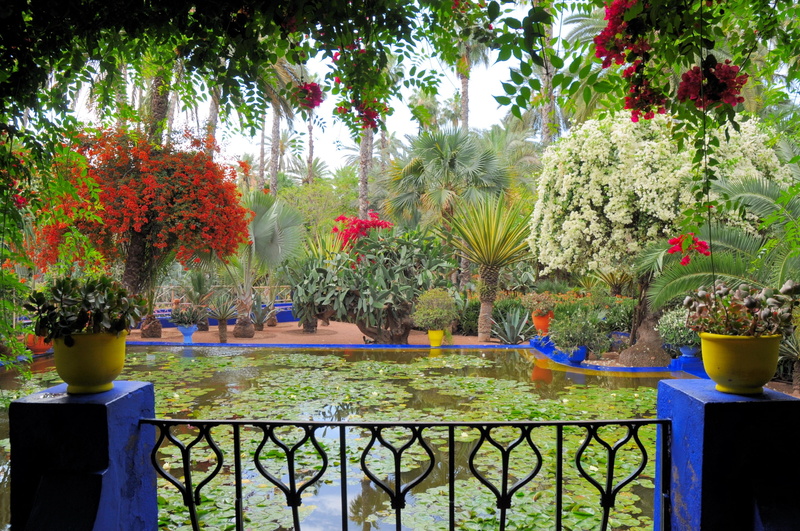 flower Pot, red, front or back yard, beauty In Nature, day, pond, flowers, ornamental Garden, garden, water-lilies, no People, nature, railing, botany