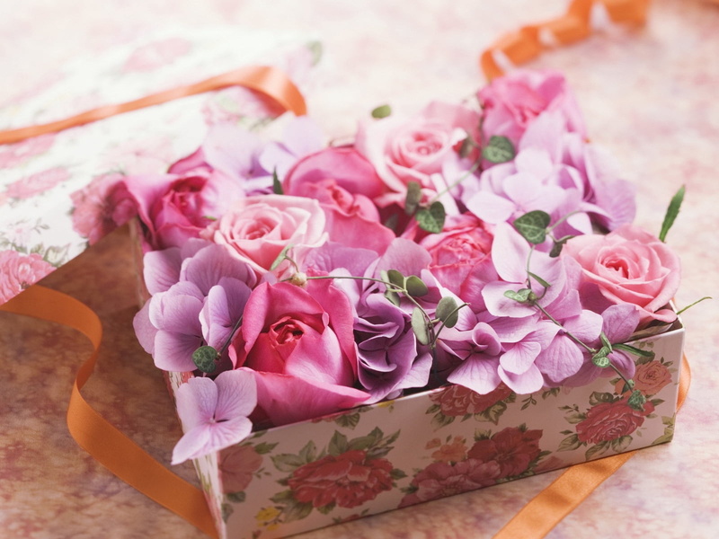 720P, inflorescence, freshness, roses, no People, arrangement, tape, love, decoration, plant, celebration, gift, high angle view, flower arrangement, summer