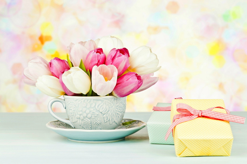 brightly lit, celebration, day, white, freshness, tulips, indoors, two, crockery, pink Color, red, saucer, decoration, plant, tulip, decor, backgrounds