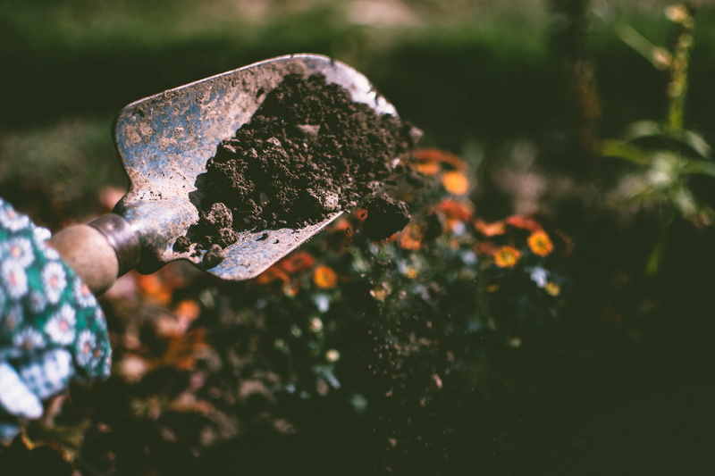 nature, gardening, work, plant, flower, one person, trowl, tool, fragility, finger, human body part, outdoors, day, green fingers, hand, human hand, focus on foreground