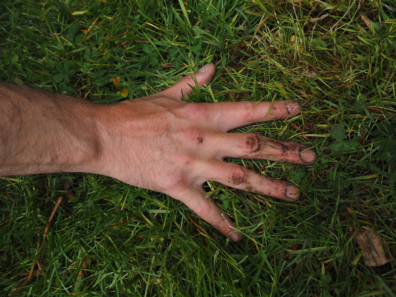 hand, human hand, directly above, field, touching, dirty, earth, gardening, day, one person, human limb, land, nature, work, one animal, human body part
