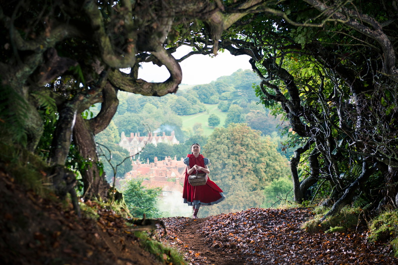 growth, adult, beauty in nature, Into the Woods, plant, standing, real people, Red Riding Hood, nature, women, forest, tree trunk, day, The farther into the forest