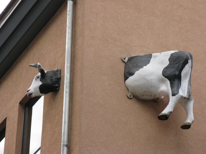 architecture, house facade, one animal, daytime, building exterior, deco, animal body part, built structure, no people, animal themes, black, animal representation