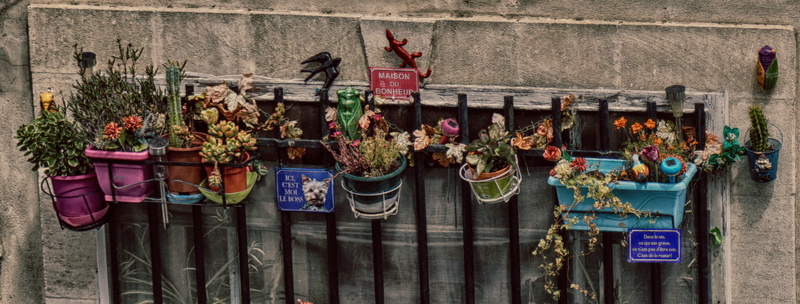outdoors, decoration, nature, flower, architecture, built structure, barred vfenster, no people, hanging, potted plant, building exterior, celebration
