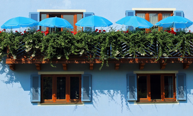 architecture, home front, sunlight, house facade, roof, outdoors, building, flowers, decoration, window, tree, day, built structure, house, balconies, growth