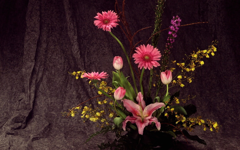 day, season, ikebana, daisy, plant part, botany, plant, nature, flowers, song, petal, leaf, close-up, fragility, blossom, decoration, flower, vulnerability
