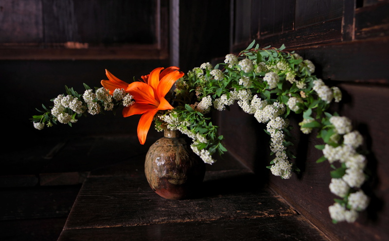 Wood, growth, flower head, flower pot, canon, freshness, Flowers, indoor, no people, petal, flowering plant, rayqual, Vase, Lily, Vintage, Blossom, kmount