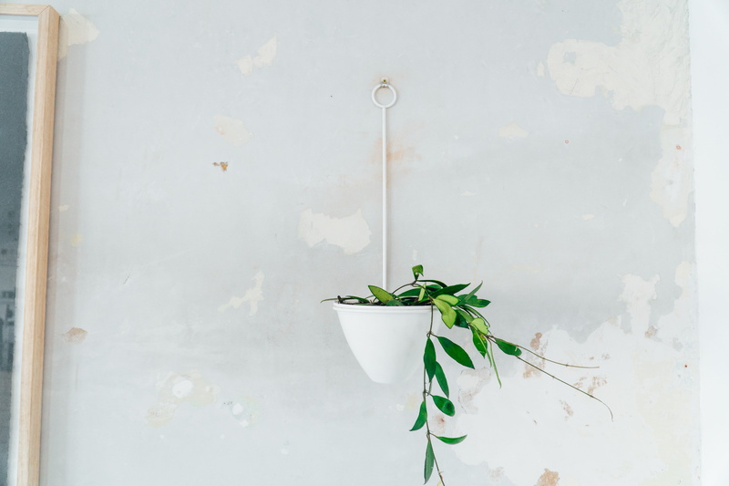 ornament, close-up, no people, hanging, copy space, plant, wall - building feature, leaf, vase, protection, herb, flower arrangement, pottery, flower, green color