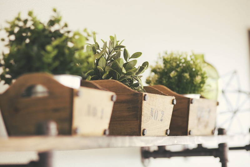 art, plant part, flora, close-up, potted plant, flower, office, plants, box, tree, ornament, flower arrangement, pottery, indoor plant, pot, crate, no people
