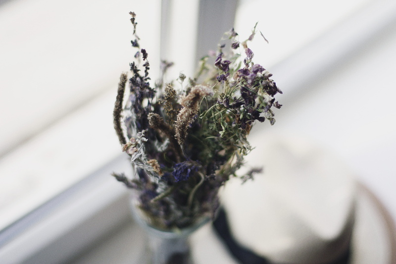 freshness, vulnerability, ornament, lavender, selective, close-up, selective focus, bunch of flowers, plant, photography, jar, blossom, flowering plant
