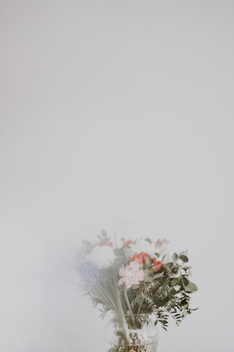 blossom, flowering plant, close-up, studio shot, jar, flower bouquet, geranium, aster, floral design, vase, cold temperature, ornament, white, plant, no people