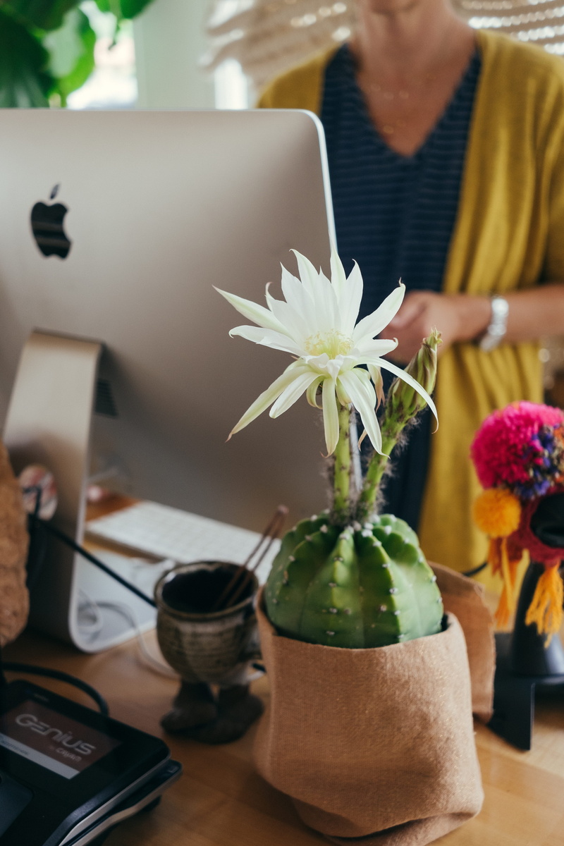 woman, food and drink, blossom, beside, ikebana, 4K, flower head, flower arrangement, wireless technology, vase, flora, computer, focus on foreground