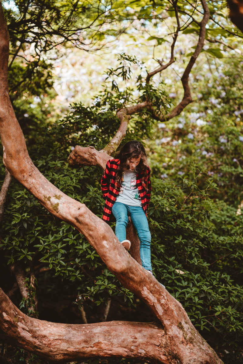 caucasian, young adult, climbing, day, leisure activity, arms raised, tree, 8K, outdoors, jeans, plaid, one person, plant, nature, climb, kid, daytime