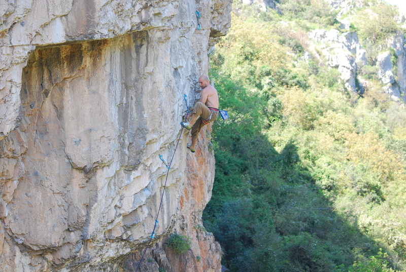 extreme sports, outdoor, hill, plants, rock climbing, effort, activity, human body part, forest, cliff, adventure, green, rope, rock face, skill, solid
