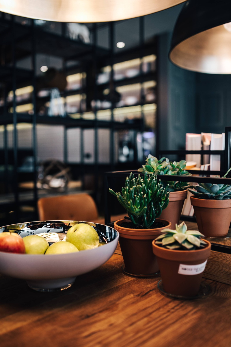 Poland, healthy eating, visit, puro hotel, indoor, no people, plate, potted plant, fruit, focus on foreground, window, interior, hotel, food, freshness