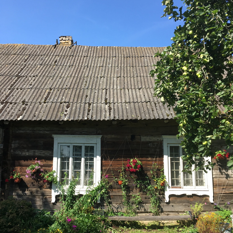 architecture, growth, nature, flowering plant, roof, sunlight, sky, vacation, Rural, Countryside, Village, lithuanian, european, day, Old, 2K, europe