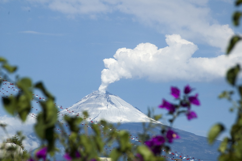 sky, landscape, scenics - nature, flowering plant, tree, nature, mountain peak, springtime, selective focus, plant, mountain, popocatepetl, 2K, petaled