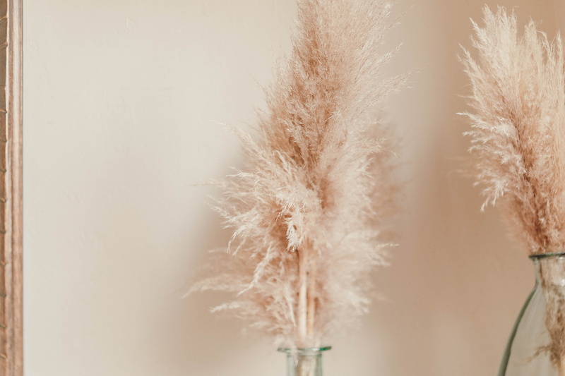 vase, pollen, pottery, herbs, potted plant, white color, dry, plant, blossom, softness, jar, crystal, still life, animal, beauty in nature, wall - building feature