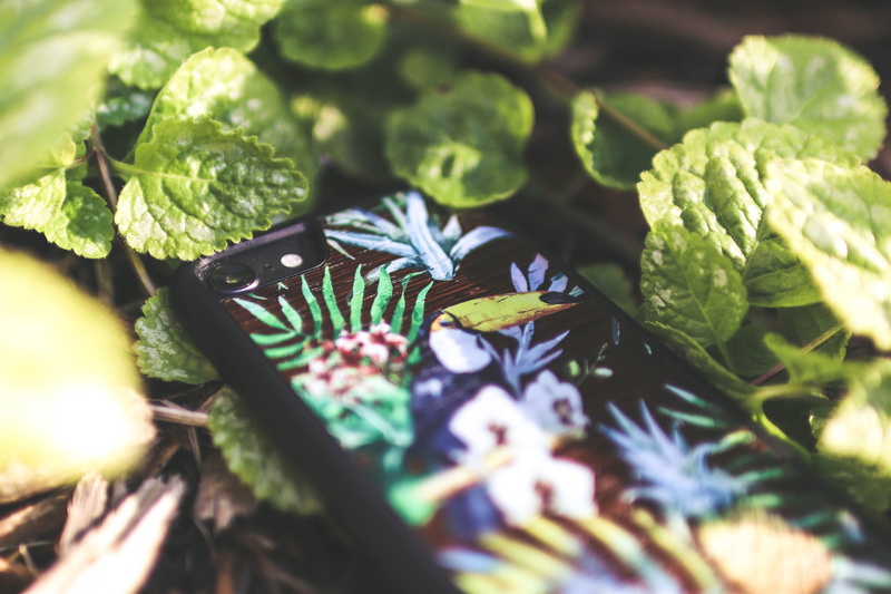 day, planter, green, tree, flower, leaf, beauty in nature, multicolored, flora, vase, plant, selective focus, 5K, blossom, conifer, botany, herbs, smartphone