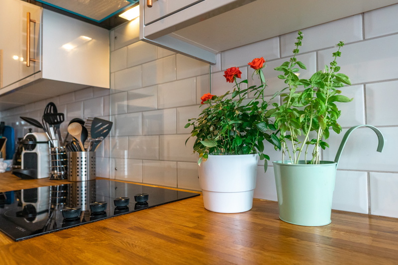 nature, vase, flower pots, red, domestic kitchen, day, freshness, no people, flooring, houseplant, kitchen, plant, home interior, potted plant, kitchen counter