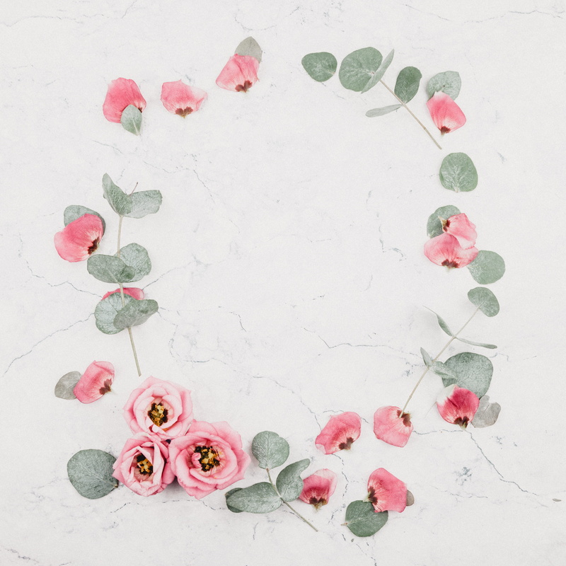 indoors, flower head, nature, vulnerability, beauty in nature, foliage, directly above, plant part, eucalyptus, flower, plant, background, surface, arrangement
