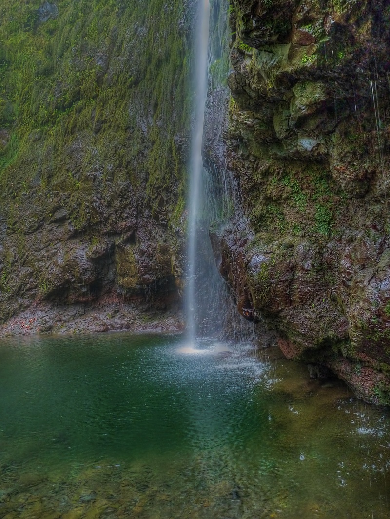 motion, outdoors, atlantic, scenics - nature, island, mountains, long exposure, tree, flowing water, holiday, recovery, levada, hiking, forest, relaxation