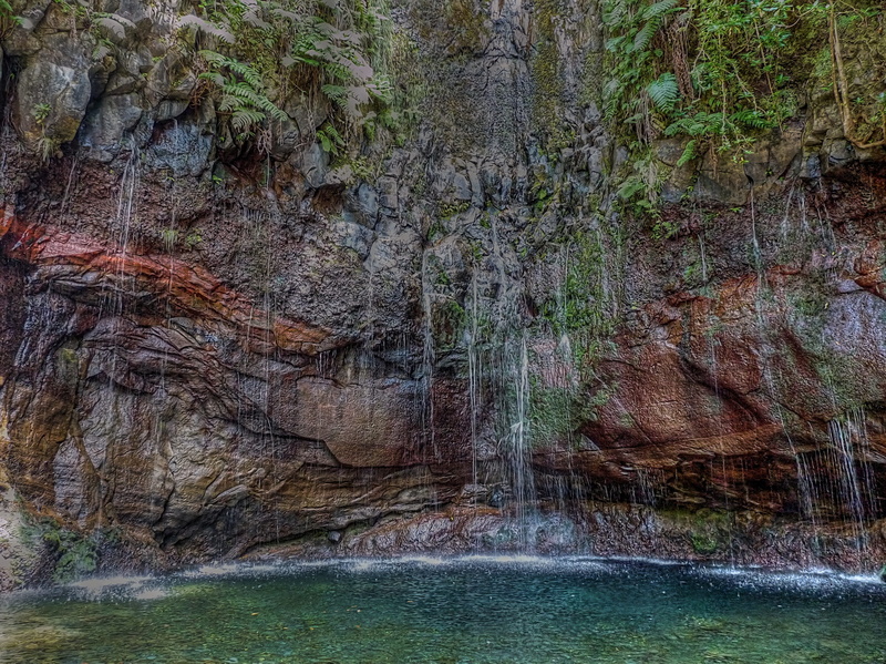 atlantic, forest, relax, water, 25 fontes, wasserluaf, lake, tree, beauty in nature, idyllic, growth, land, eucalyptus forest, waterfalls, mountains, nature