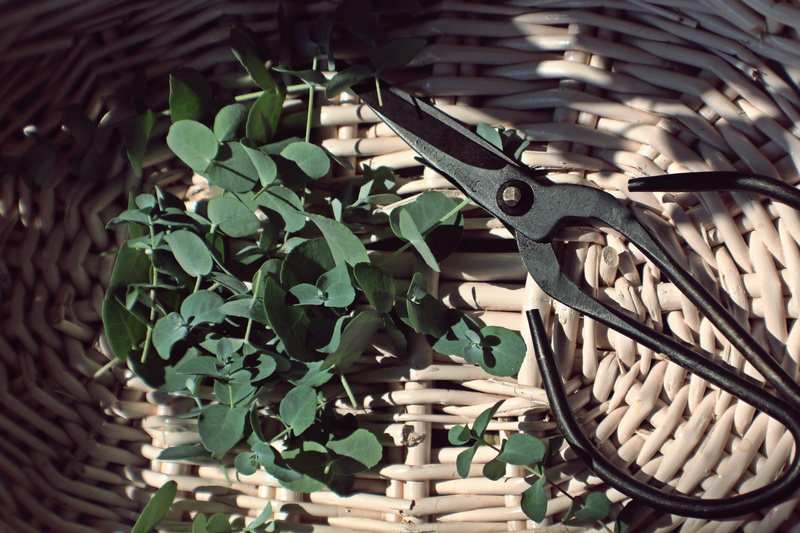 crafting, plant part, basket, no people, outdoors, built structure, green, closeup, day, sunlight, flora, pruners, pattern, still life, cut flowers, nature