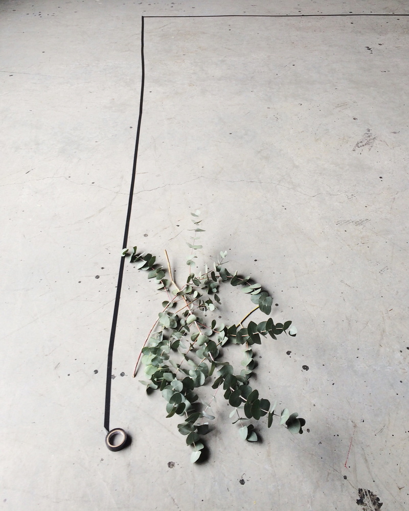 plant, food and drink, gray, snow, still life, tile, 2K, concrete, food, eucalyptus, freshness, tiled floor, high angle view, day, directly above, flower