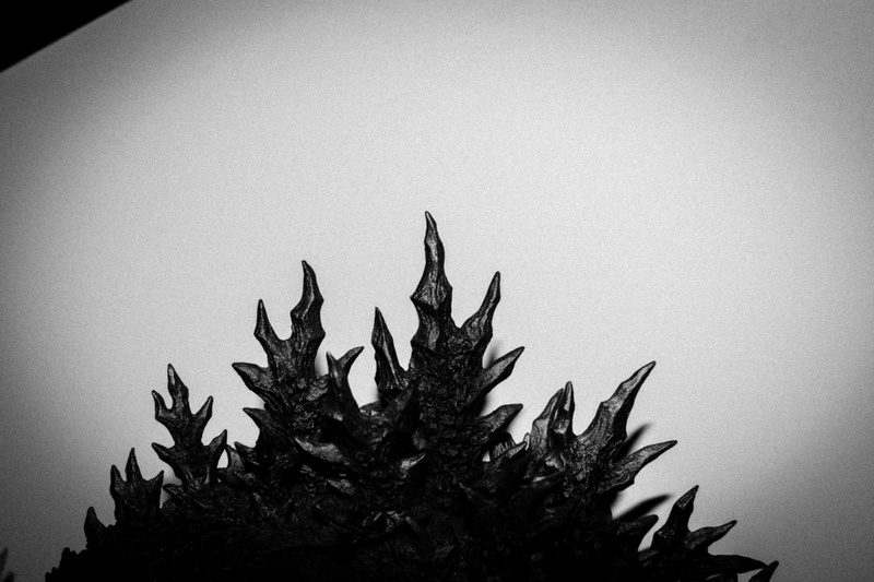 no people, close-up, sky, plant part, tree, godzilla, wall - building feature, potted plant, 4K, nature, copy space, fins, plant, low angle view, spines