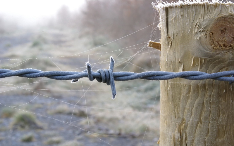 protection, rope, string, 1080P, security, boundary, wire, wooden post, strength, tied Knot, gray, barbed Wire, metal, nature, wood - Material, web, close-up