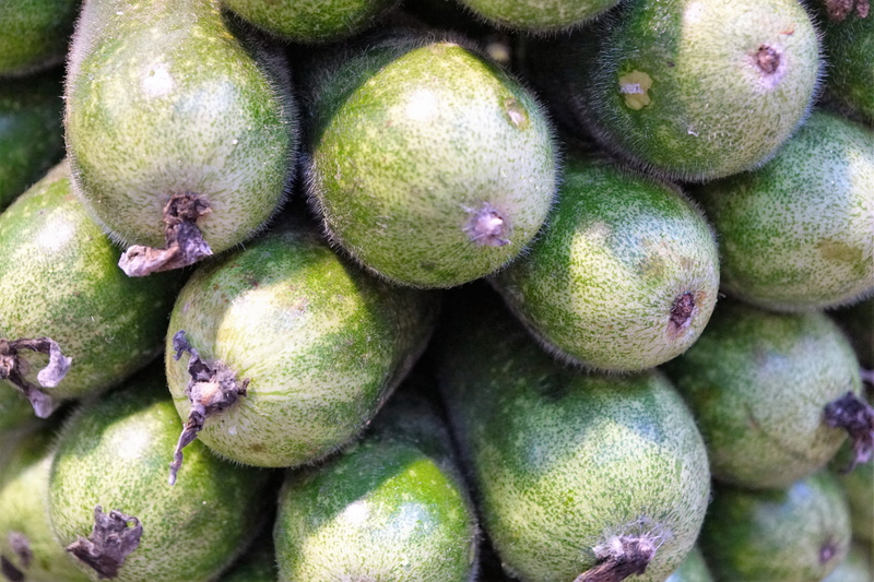 backgrounds, still life, green color, vitamin, wellbeing, exotic, harvest, agriculture, vegan, sun, food, large group of objects, delicious, close-up, market