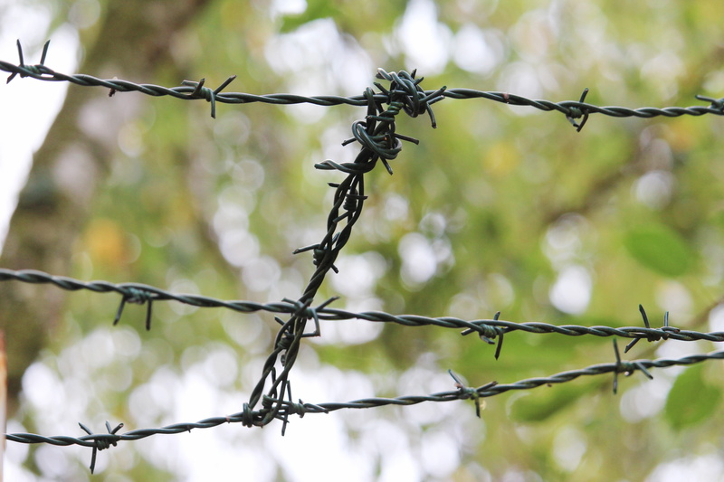 fence, spiny, demarcation, the safety of the, focus on foreground, barbed wire, sharp, communication, sign, nature, protection, fencing, security, warning sign