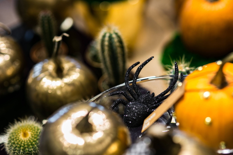 ripe, pumpkins, food, decoration, day, cactuses, wellbeing, large group of objects, freshness, selective focus, ornamental, full frame, gold, flowering plant